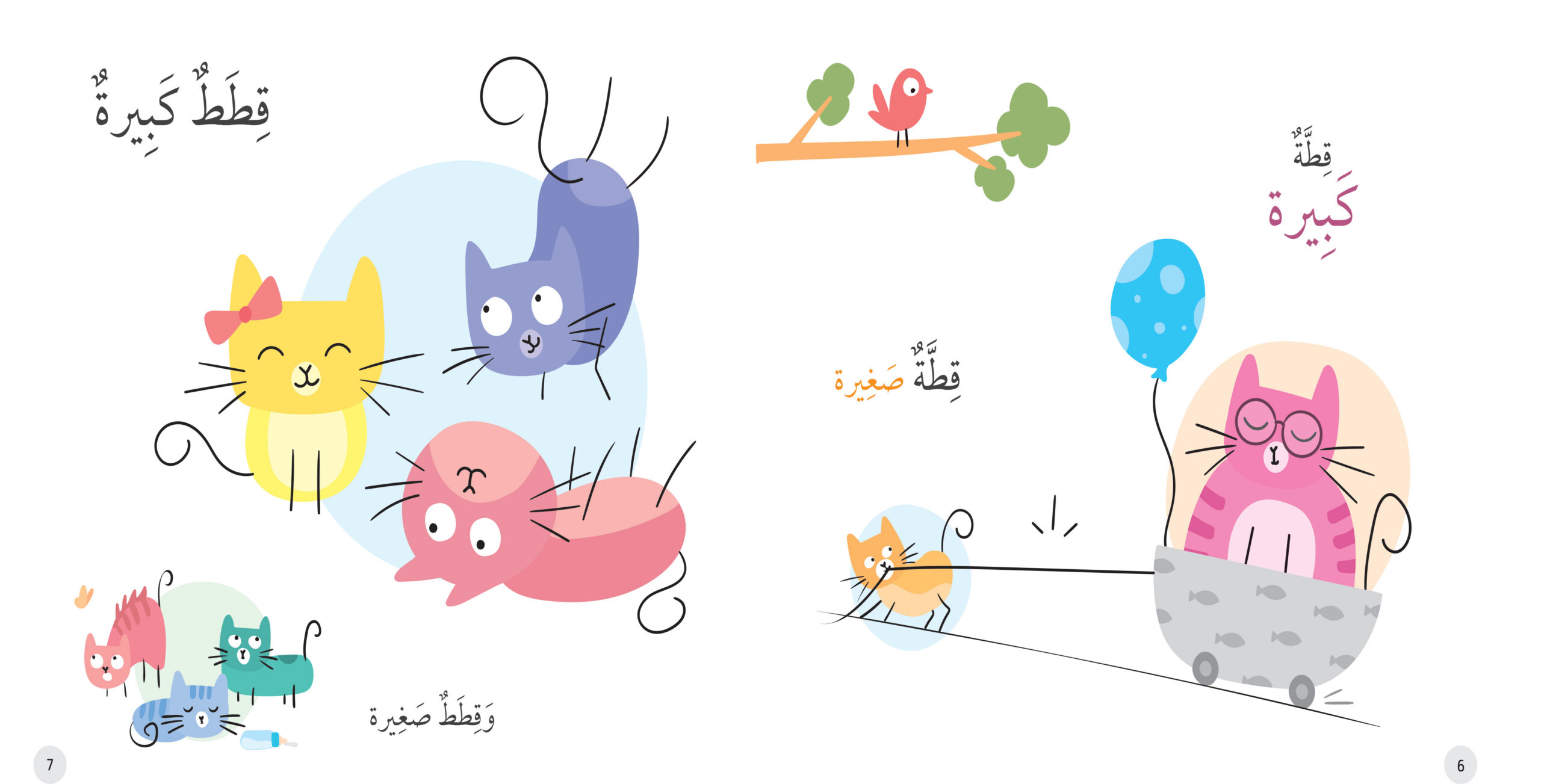 قطط